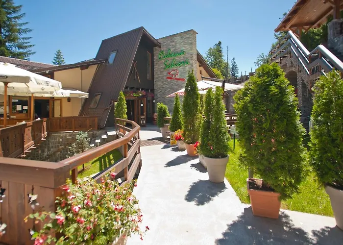 Cabana Schiori Sinaia