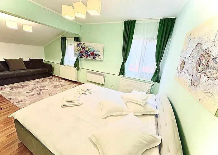 Casa Ador Hotel Sinaia